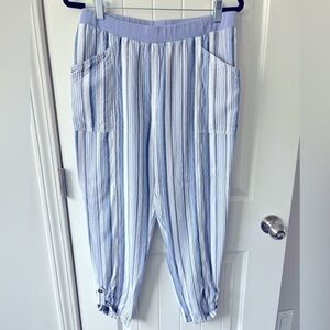 Chico's Blue Cotton Capri Pants Size 1.5